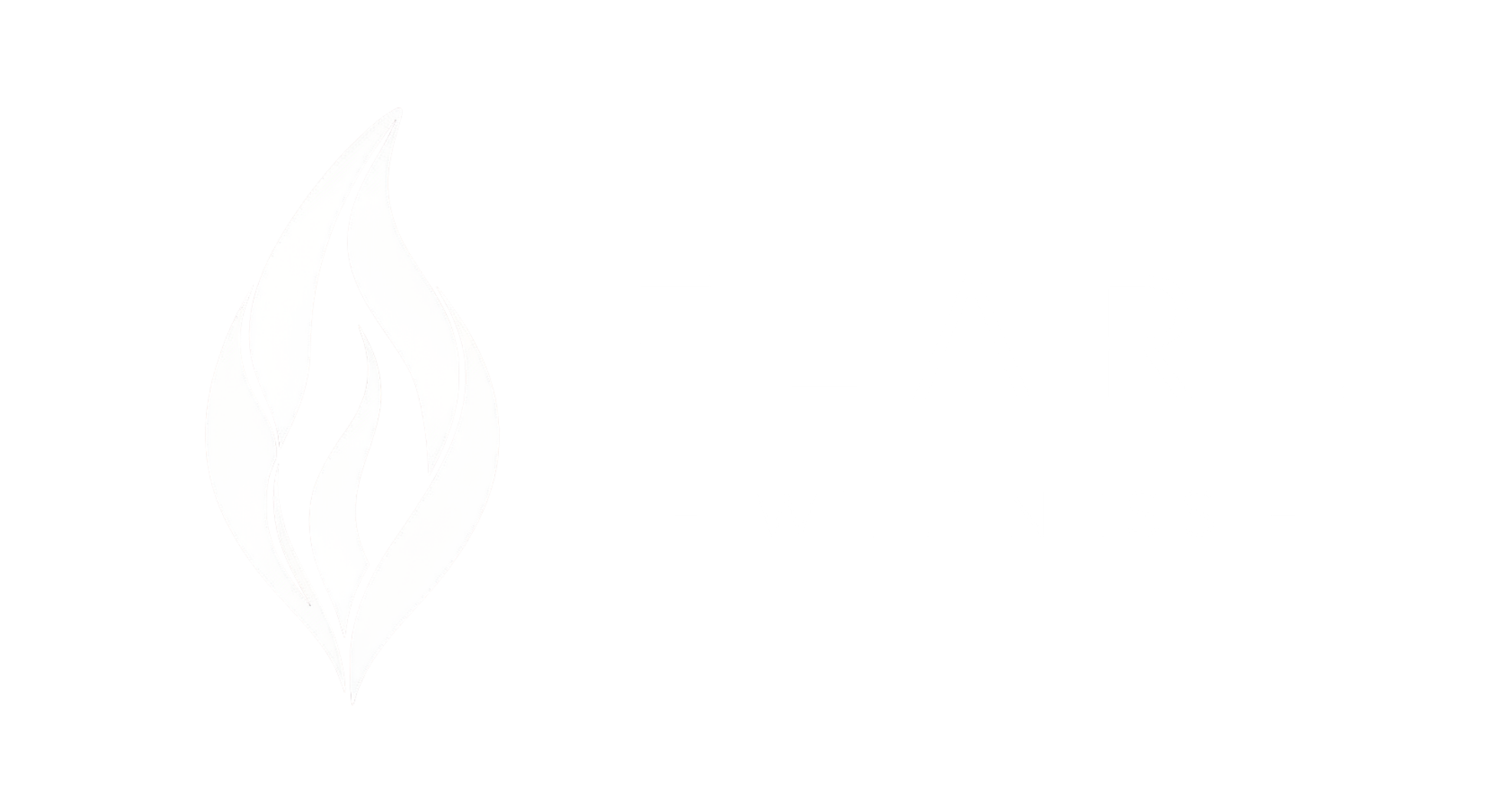Flare Wellness